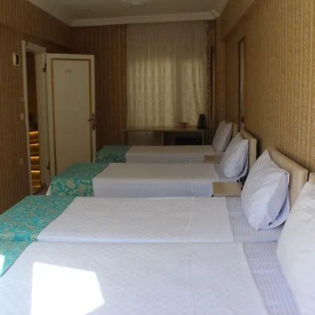 Otel Omega 2*